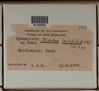 Image Associated With the Occurence